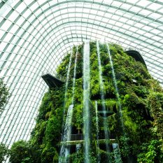 Beautiful architecture building flower dome garden and greenhouse forest landmark of singapore city for travel