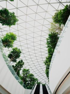 Building, architecture, window and skylight | HD photo by chuttersnap